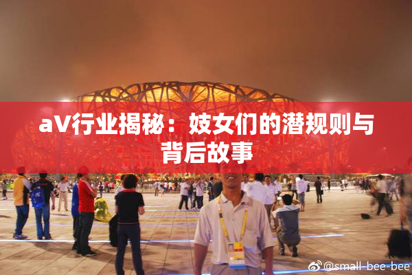 aV行业揭秘：妓女们的潜规则与背后故事