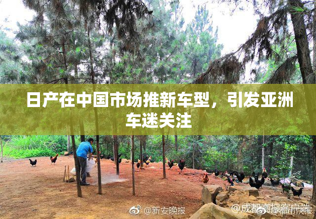 日产在中国市场推新车型，引发亚洲车迷关注