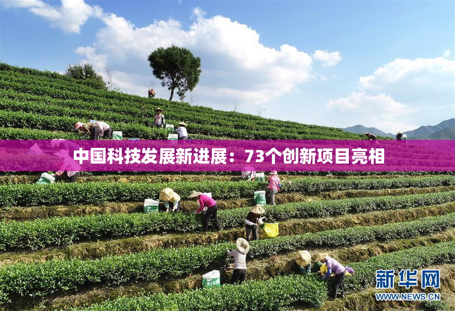 中国科技发展新进展：73个创新项目亮相