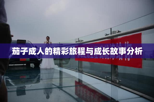 茄子成人的精彩旅程与成长故事分析