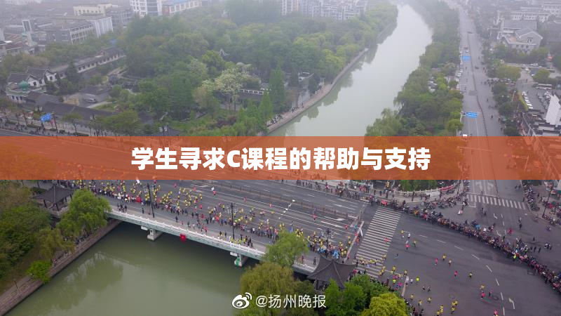 学生寻求C课程的帮助与支持