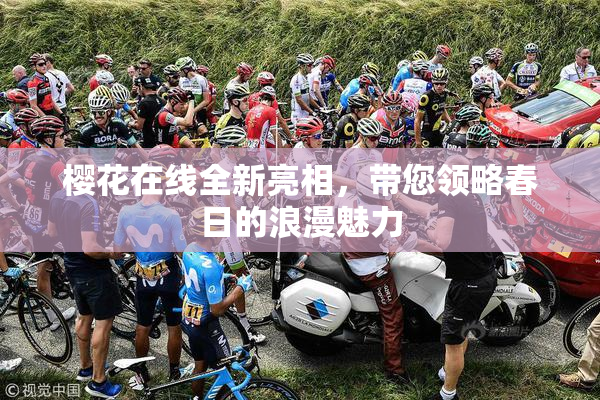 樱花在线全新亮相，带您领略春日的浪漫魅力