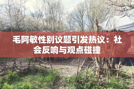 毛阿敏性别议题引发热议：社会反响与观点碰撞