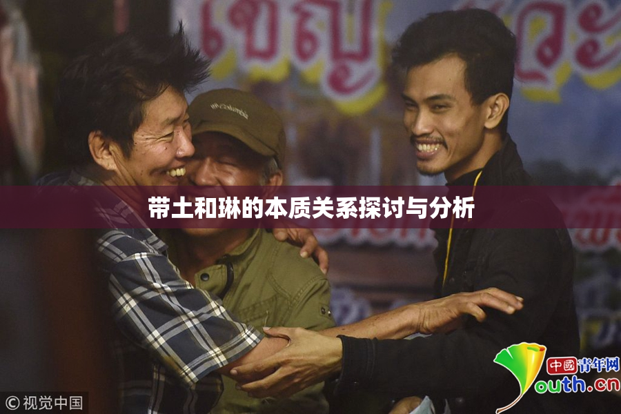 带土和琳的本质关系探讨与分析
