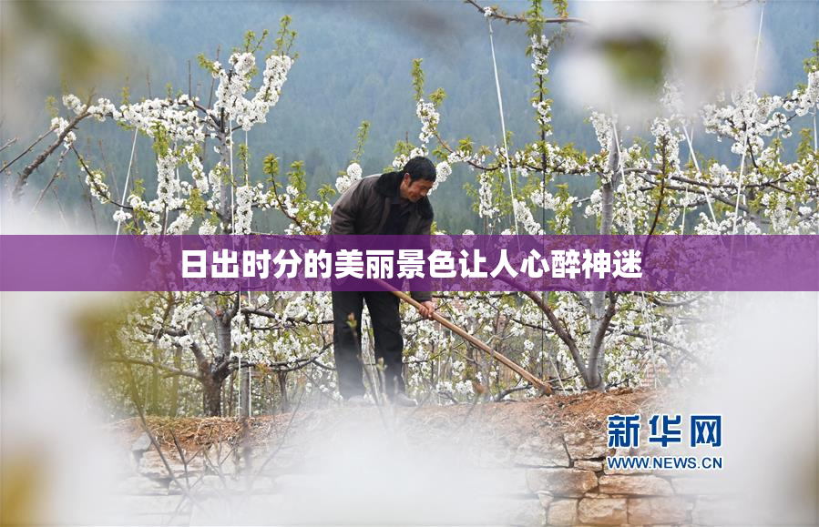 日出时分的美丽景色让人心醉神迷