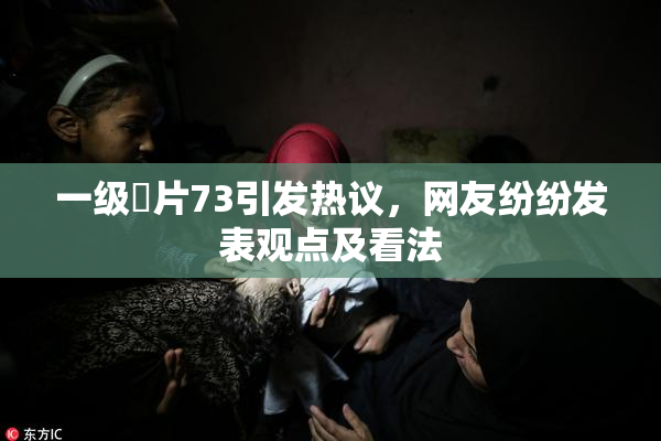 一级婬片73引发热议，网友纷纷发表观点及看法