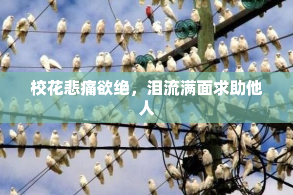 校花悲痛欲绝，泪流满面求助他人