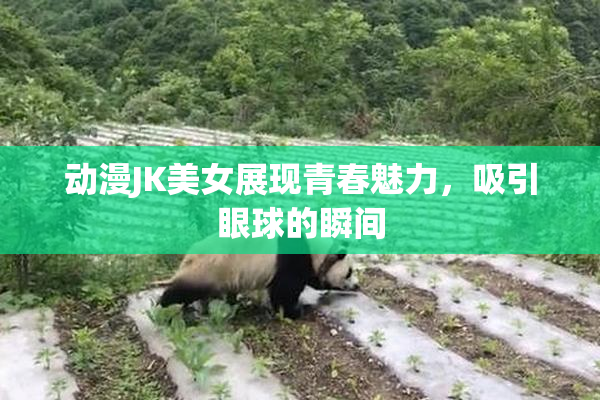 动漫JK美女展现青春魅力，吸引眼球的瞬间