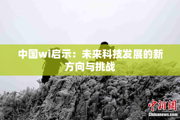 中国wi启示：未来科技发展的新方向与挑战