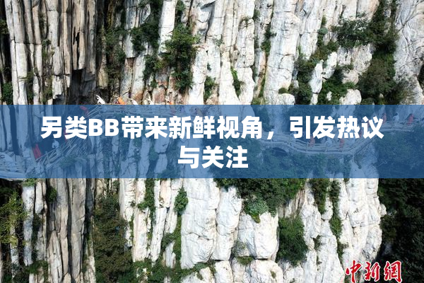 另类BB带来新鲜视角，引发热议与关注