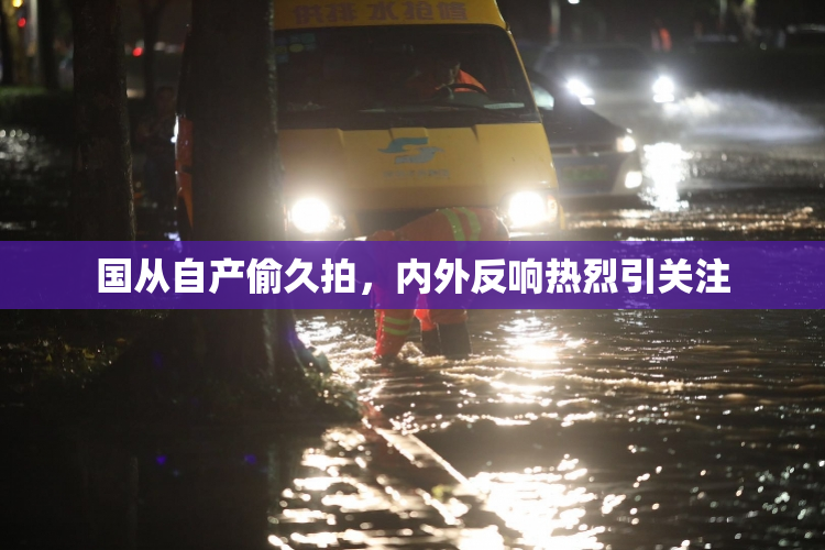 国从自产偷久拍，内外反响热烈引关注