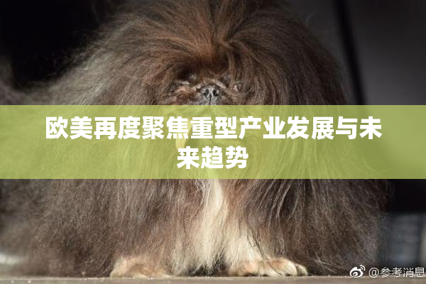 欧美再度聚焦重型产业发展与未来趋势