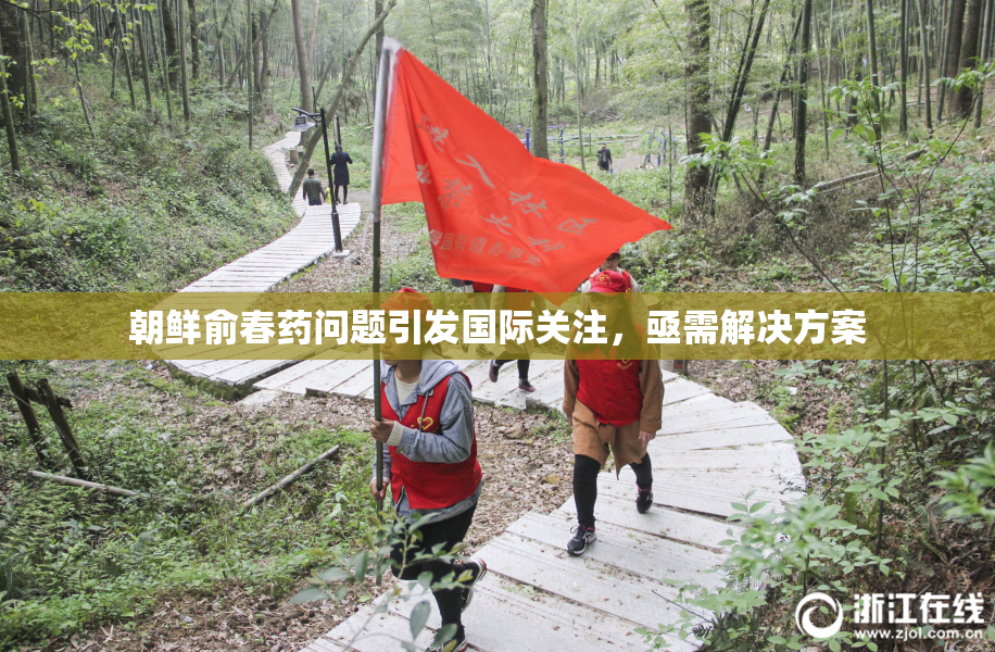 朝鲜俞春药问题引发国际关注，亟需解决方案