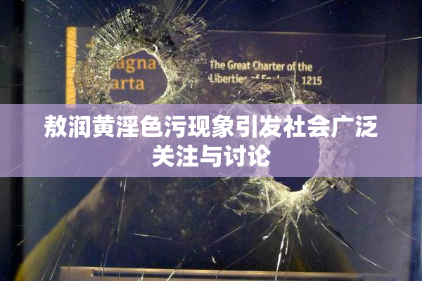 敖润黄淫色污现象引发社会广泛关注与讨论