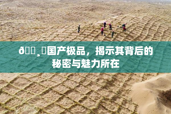 🌸‌国产极品，揭示其背后的秘密与魅力所在
