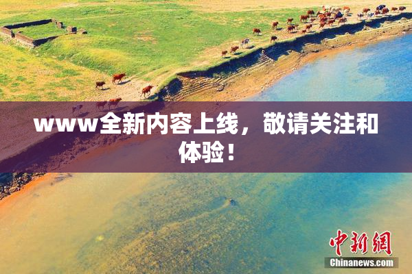 www全新内容上线，敬请关注和体验！