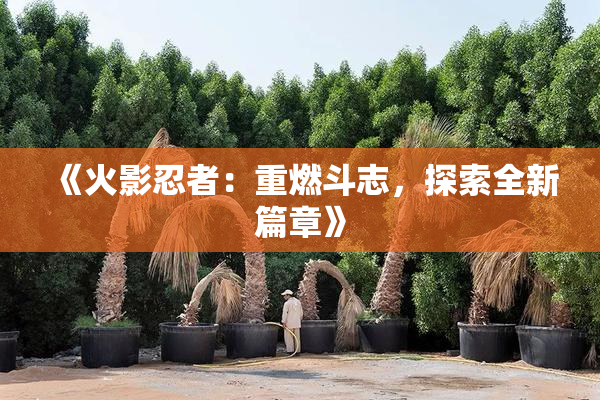 《火影忍者：重燃斗志，探索全新篇章》
