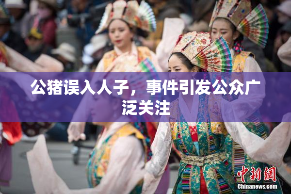 公猪误入人子，事件引发公众广泛关注