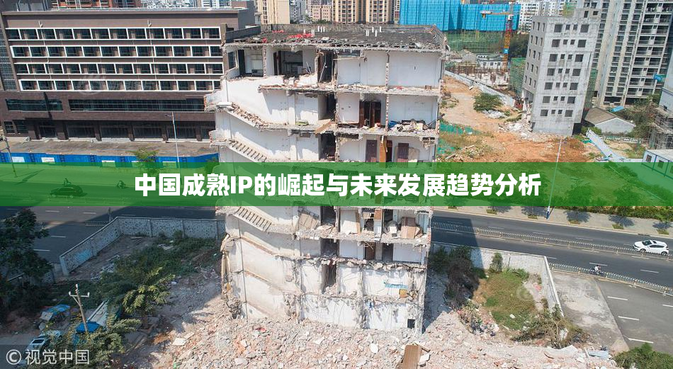 中国成熟IP的崛起与未来发展趋势分析