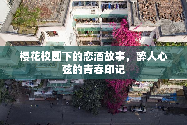 樱花校园下的恋酒故事，醉人心弦的青春印记