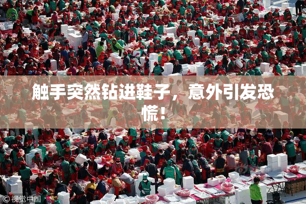 触手突然钻进鞋子，意外引发恐慌！