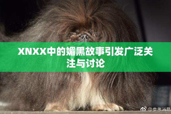 XNXX中的媚黑故事引发广泛关注与讨论