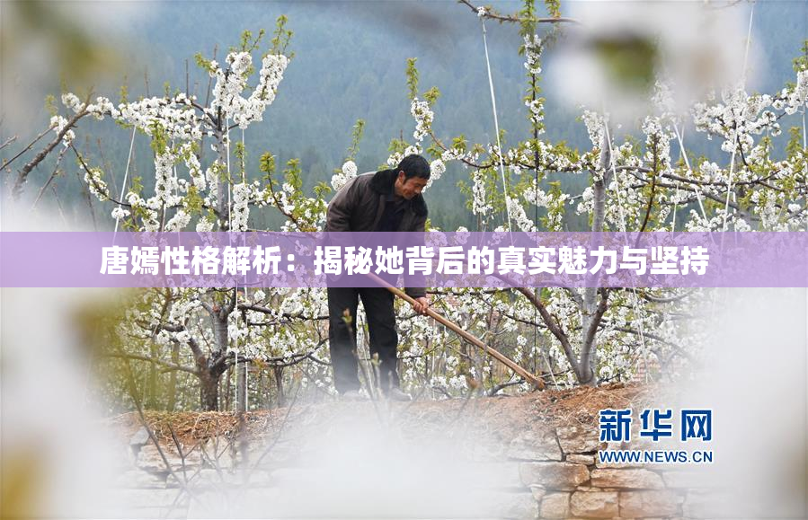 唐嫣性格解析：揭秘她背后的真实魅力与坚持