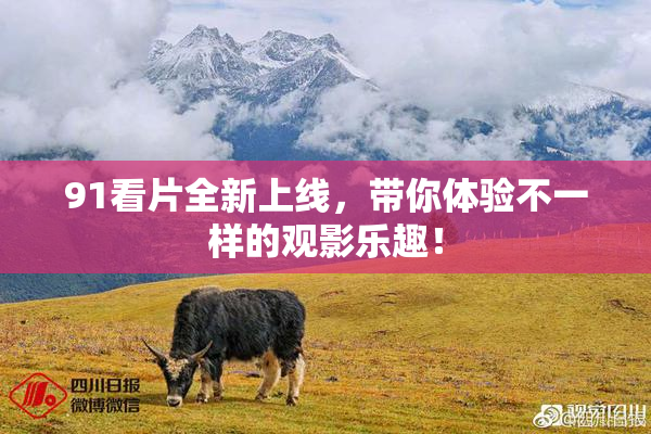 91看片全新上线，带你体验不一样的观影乐趣！