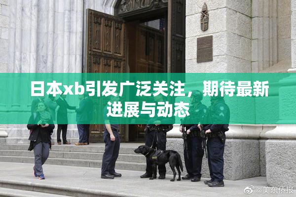 日本xb引发广泛关注，期待最新进展与动态