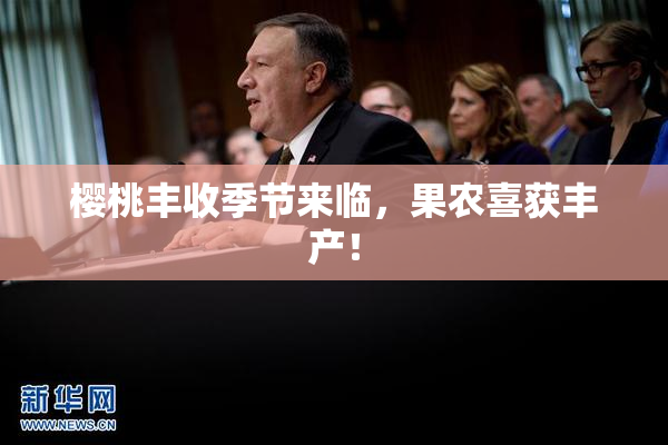 樱桃丰收季节来临，果农喜获丰产！