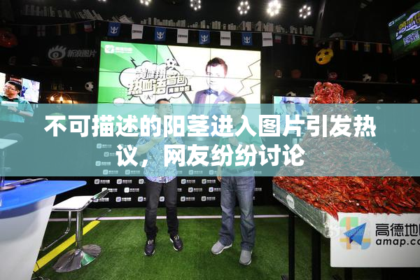 不可描述的阳茎进入图片引发热议，网友纷纷讨论