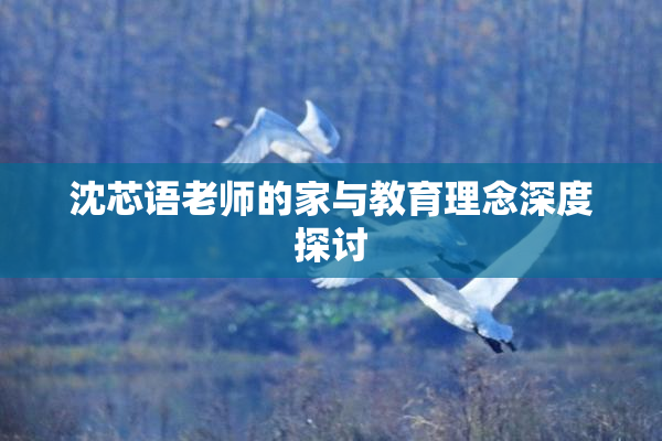 沈芯语老师的家与教育理念深度探讨