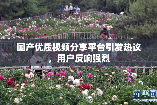国产优质视频分享平台引发热议，用户反响强烈