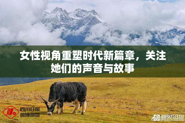 女性视角重塑时代新篇章，关注她们的声音与故事