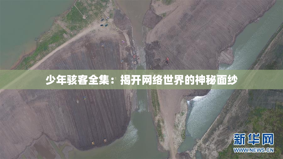 少年骇客全集：揭开网络世界的神秘面纱