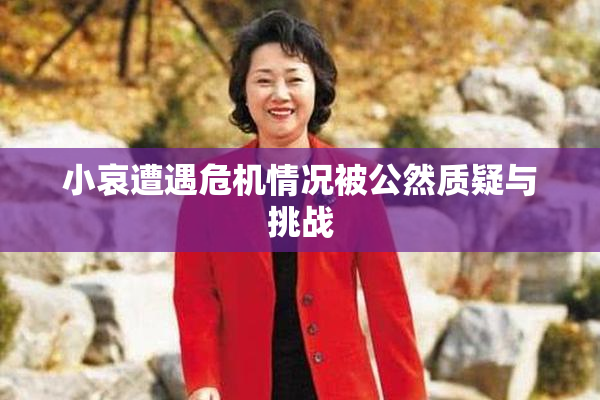 小哀遭遇危机情况被公然质疑与挑战