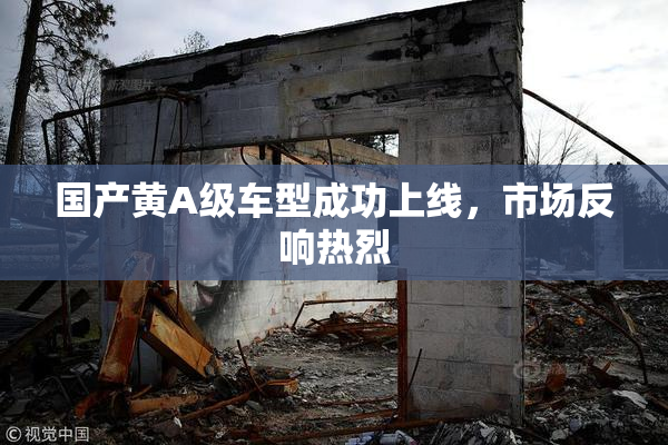 国产黄A级车型成功上线，市场反响热烈