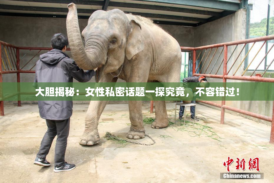 大胆揭秘：女性私密话题一探究竟，不容错过！