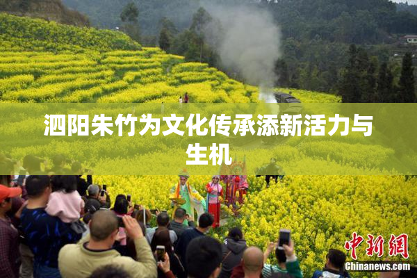 泗阳朱竹为文化传承添新活力与生机