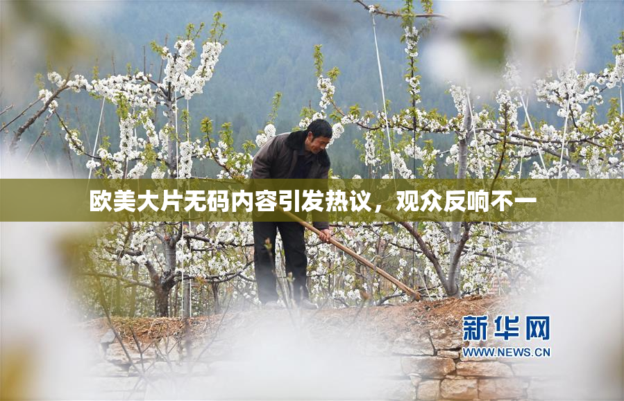 欧美大片无码内容引发热议，观众反响不一