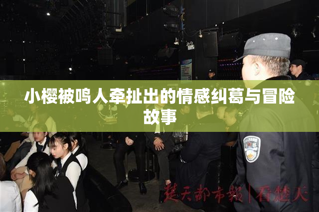 小樱被鸣人牵扯出的情感纠葛与冒险故事