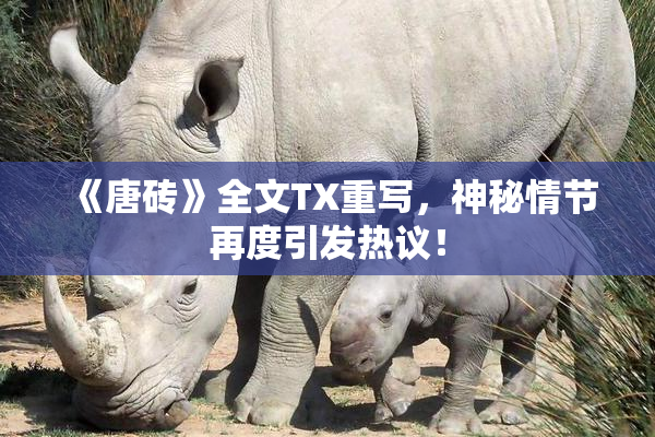 《唐砖》全文TX重写，神秘情节再度引发热议！