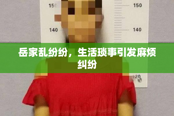 岳家乱纷纷，生活琐事引发麻烦纠纷