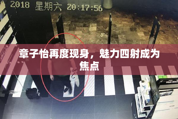 章子怡再度现身，魅力四射成为焦点