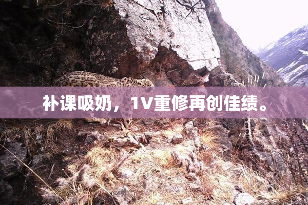 补课吸奶，1V重修再创佳绩。