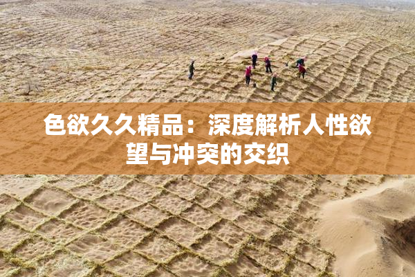 色欲久久精品：深度解析人性欲望与冲突的交织