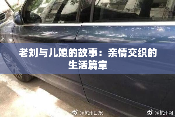 老刘与儿媳的故事：亲情交织的生活篇章
