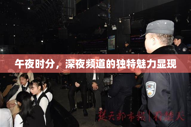 午夜时分，深夜频道的独特魅力显现