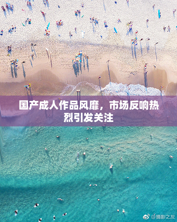 国产成人作品风靡，市场反响热烈引发关注