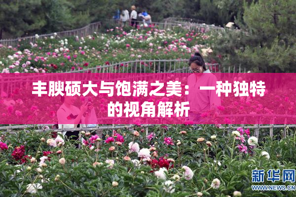 丰腴硕大与饱满之美：一种独特的视角解析